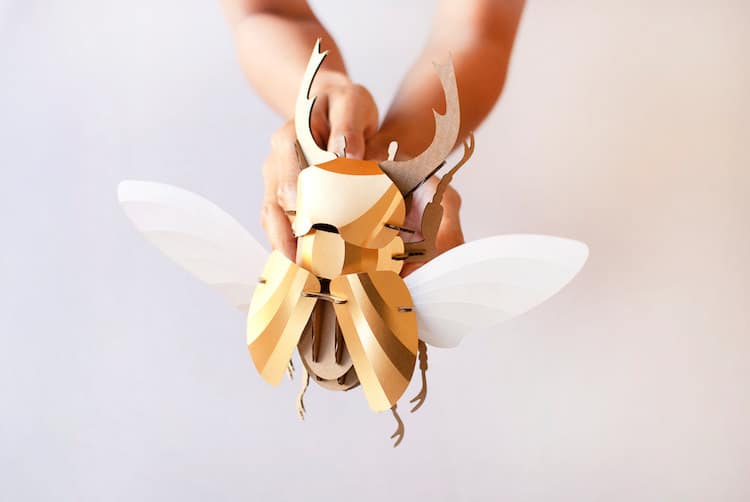 Assembli diy paper sculptures