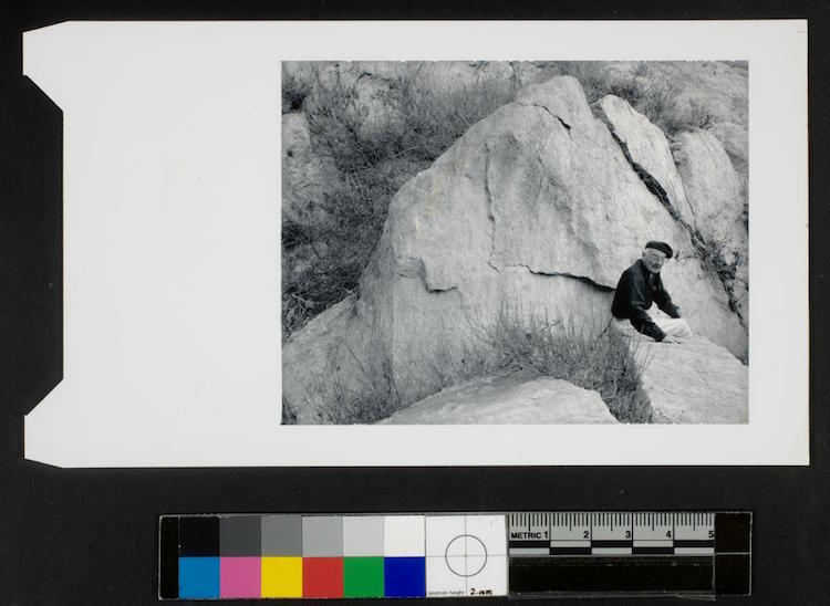 george eastman museum digitized collection photography