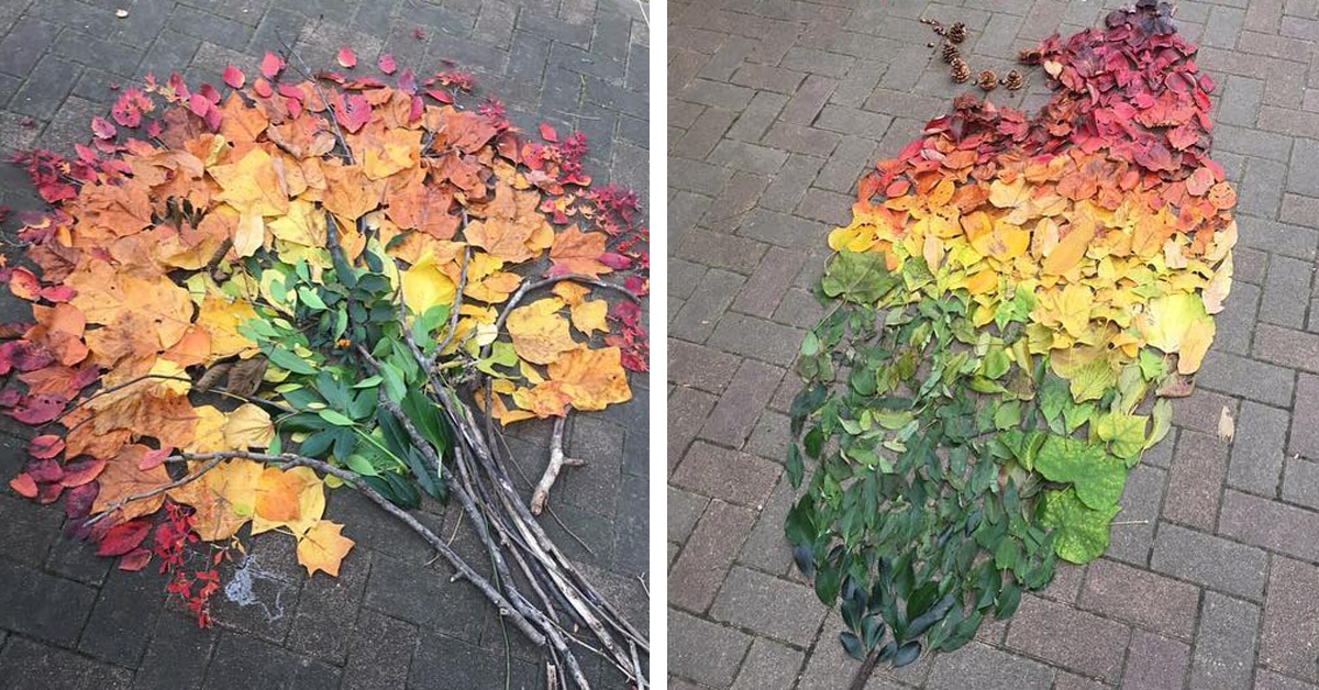 Fallen Leaf Art Uses The Beauty Of Foliage To Craft Stunning Arrangements   Fallen Leaf Art Thumbnail 