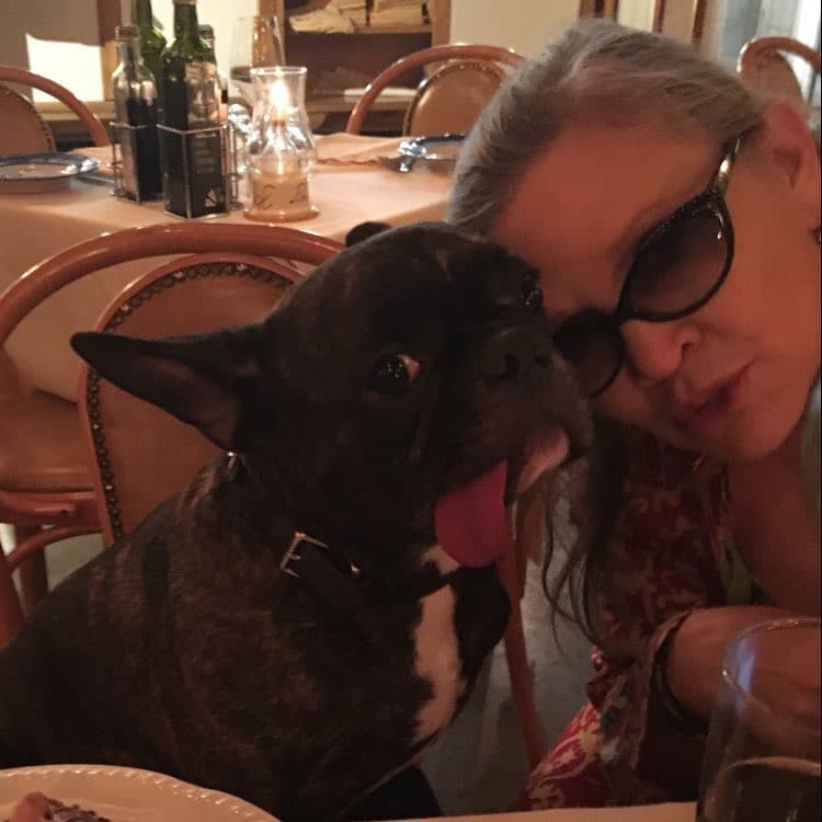 gary fisher french bulldog carrie fisher