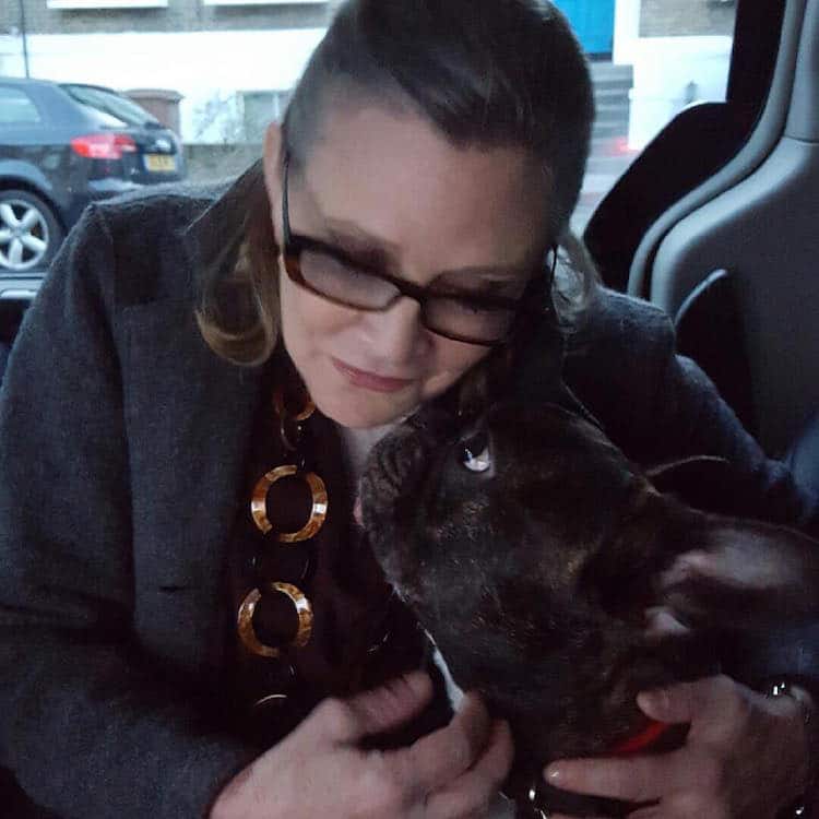 gary fisher french bulldog carrie fisher