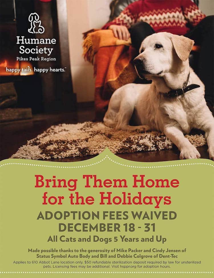 Humane Society of the Pikes Peak Region Animal Shelter Christmas Adoptions