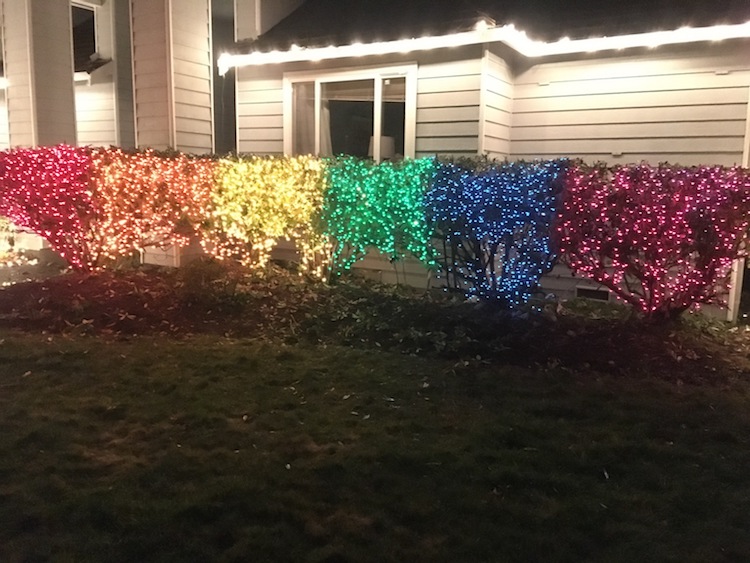Lexi Magnusson rainbow holiday lights