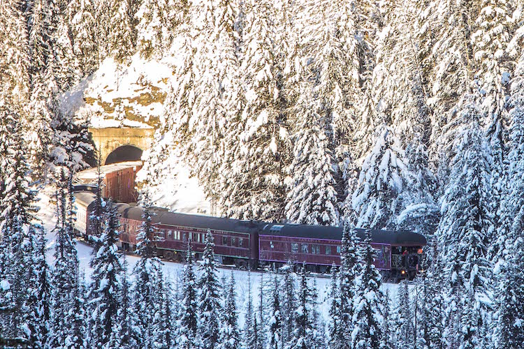 Neil Zeller Holiday Train Christmas Lights