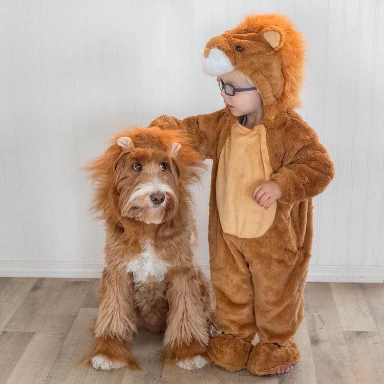 reagandoodle-dog-and-boy-17