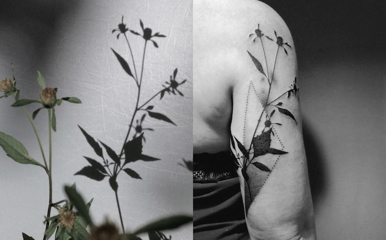 tedd hucks plant shadow tattoos