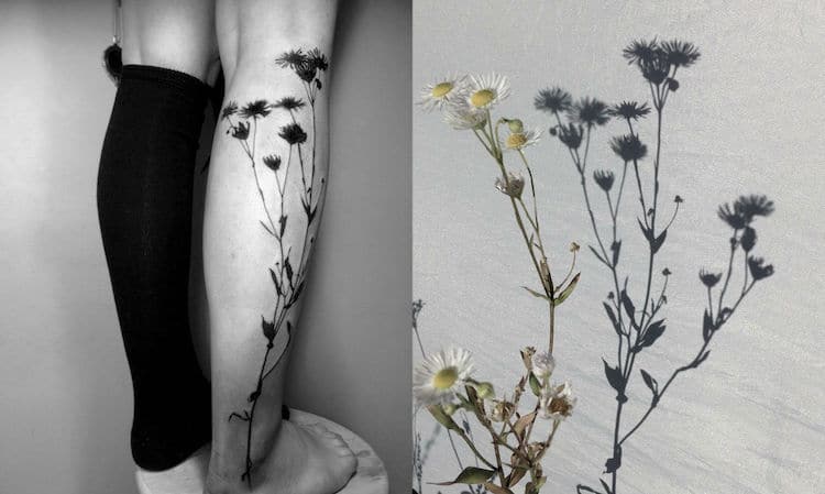 tedd hucks plant shadow tattoos