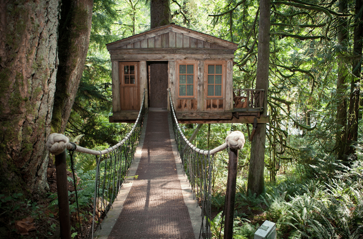 treehouse-point-2
