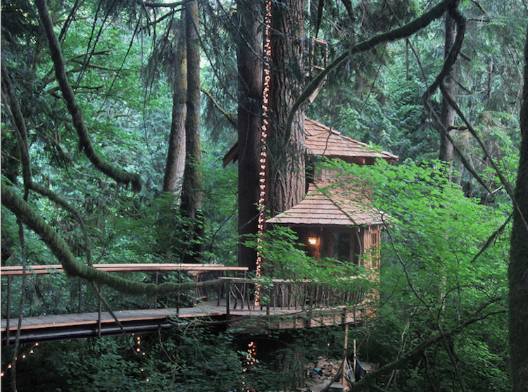 treehouse-point-8