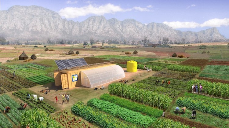 solar power sustainable food farm monitor app