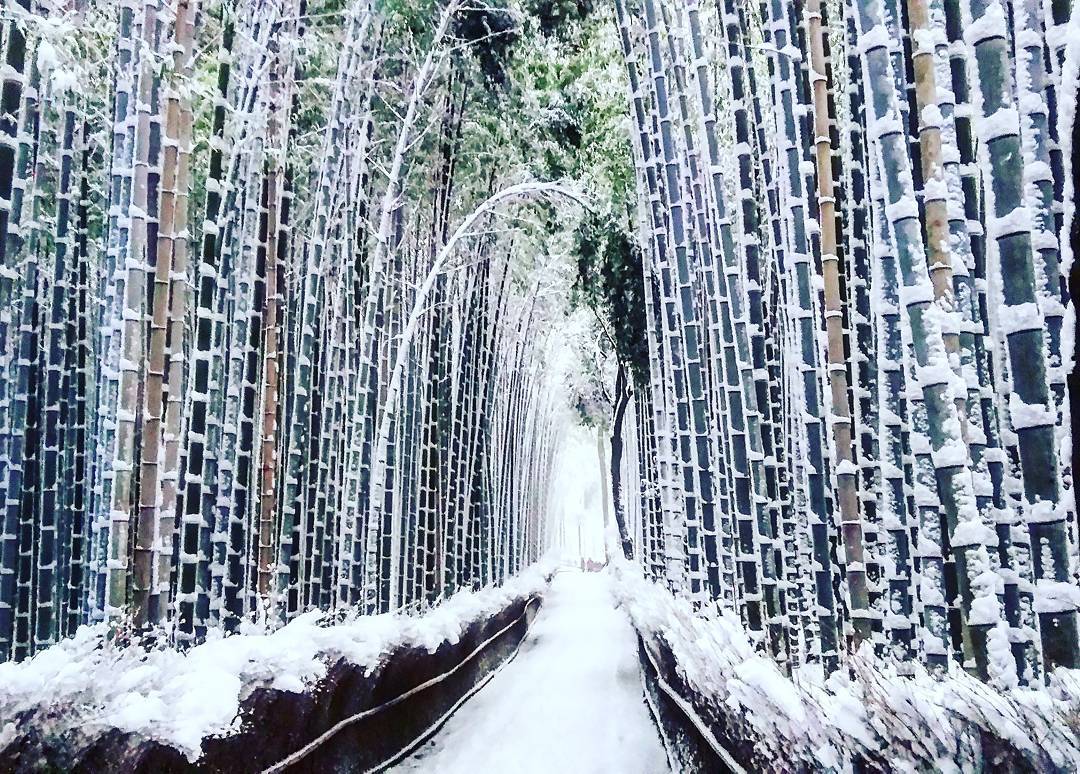 heavy snow kyoto winter japan