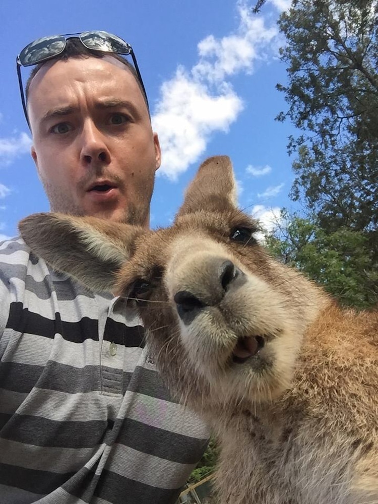 Hilarious Animal Selfies Taken by Creatures Around the World