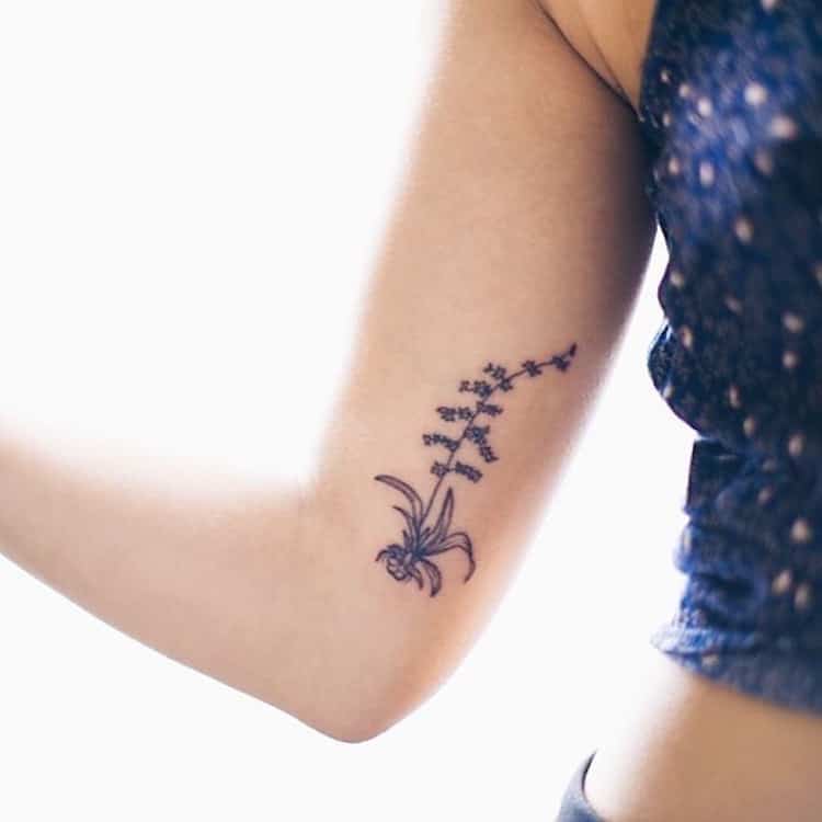 vegan tattoos anna sica arrowhead tattoos