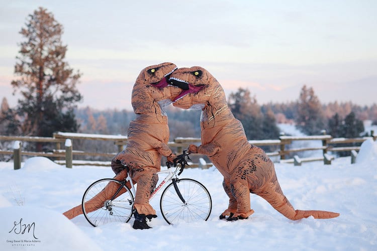 T. Rex Engagement Photo Shoot Proves Love Isn't Exctinct