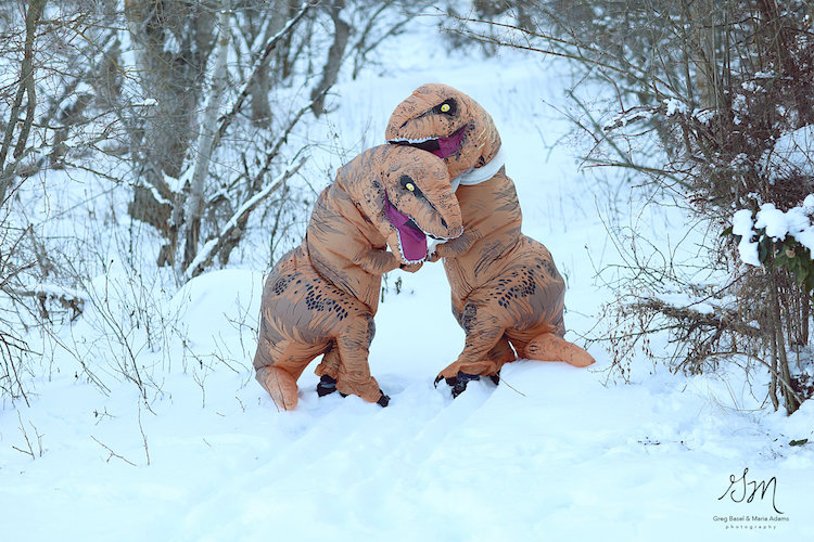 T. Rex Engagement Photo Shoot Proves Love Isn't Exctinct