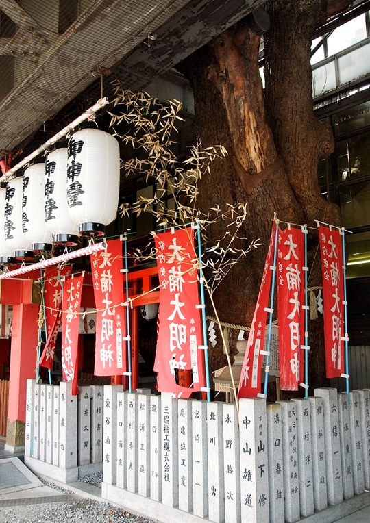 odd architecture Kayashima Station osaka camphor tree