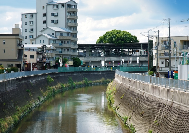 odd architecture Kayashima Station osaka camphor tree