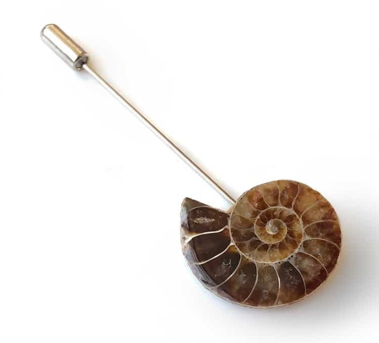 Fossil Ammonite Stick Pin
