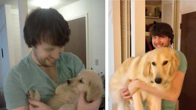 puppies who are all grown up cute pets baby animals then and now