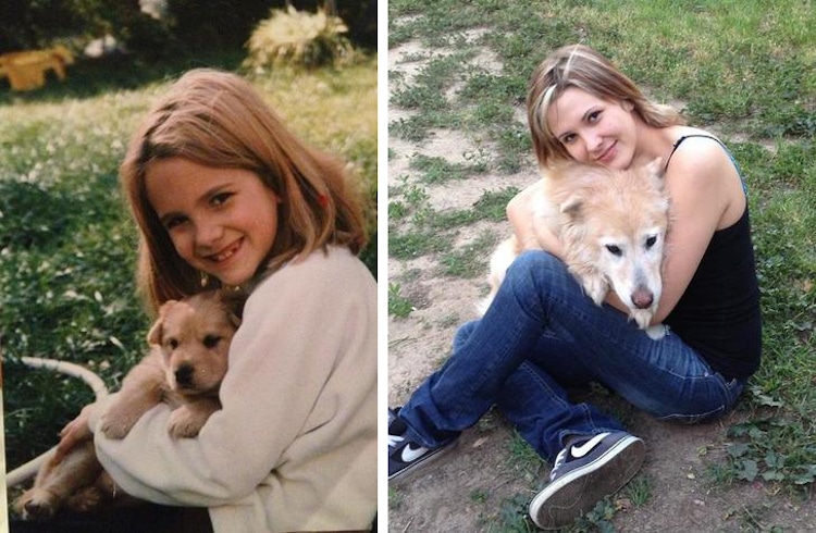 Then and Now Puppies Growing Up Into Dogs