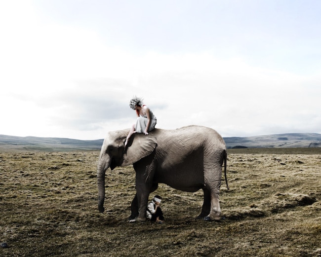 White Sky series by Stefano Bonazzi