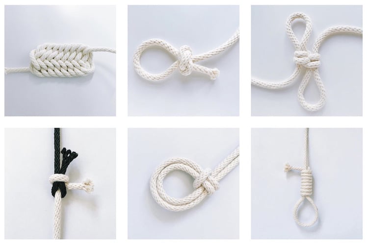Windy Chien Documents 2016 as a Year of Knots
