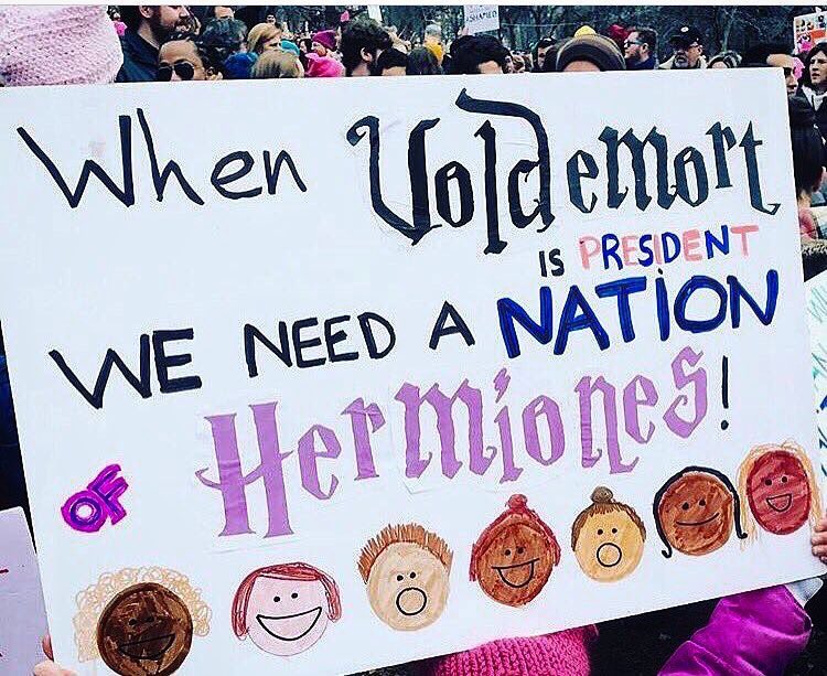 Clever Women's Marches Signs from Around the World