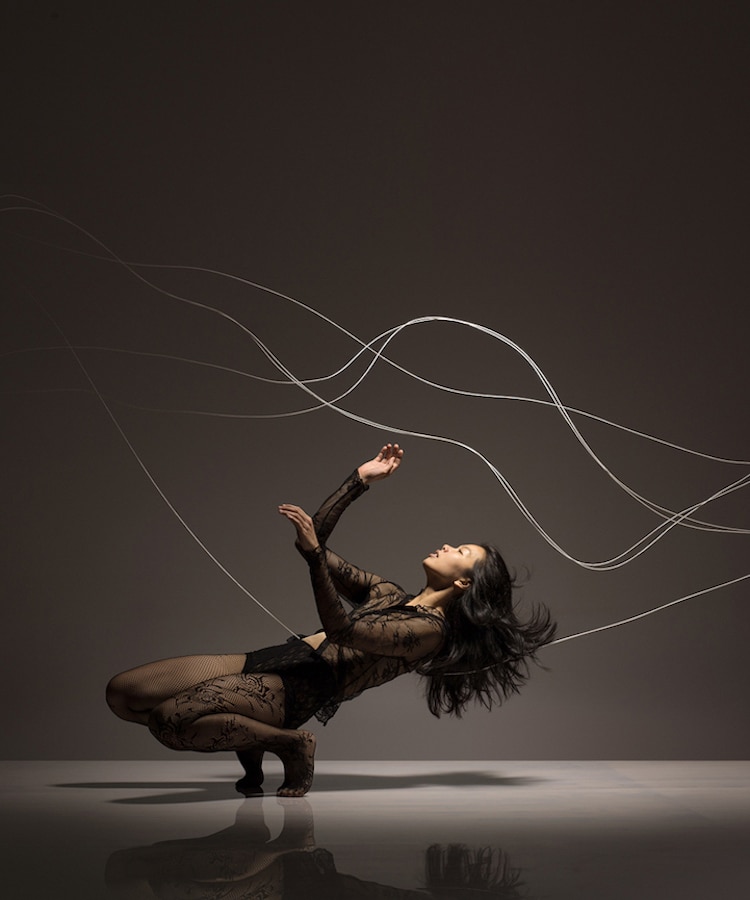 Dance Photographers Who Capture the Movement of Dancers lois greenfield
