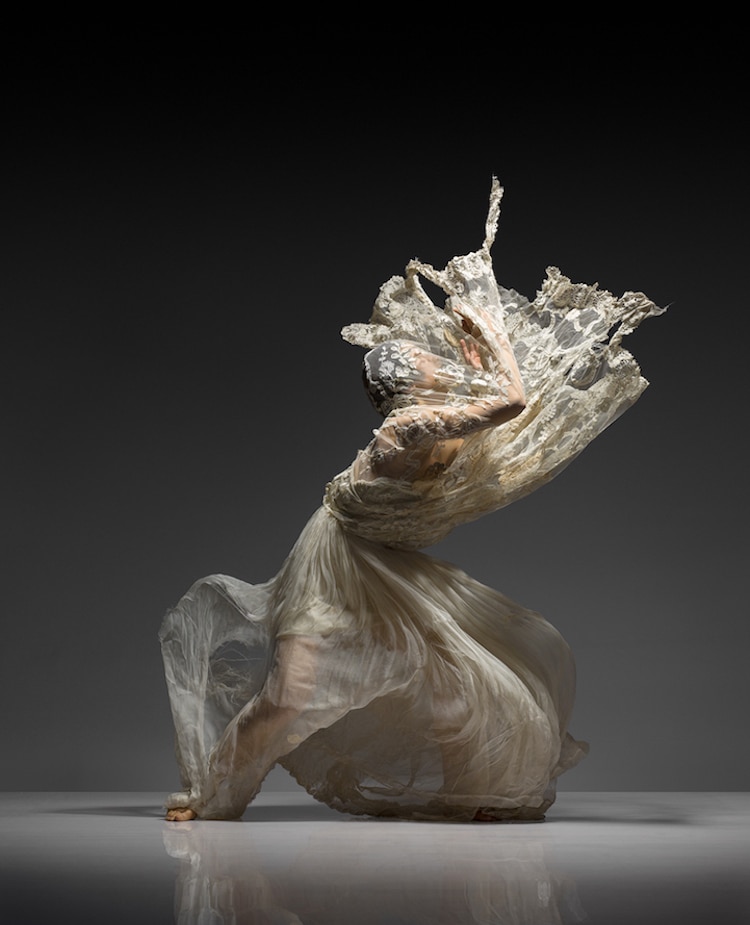 Dance Photographers Who Capture the Movement of Dancers lois greenfield