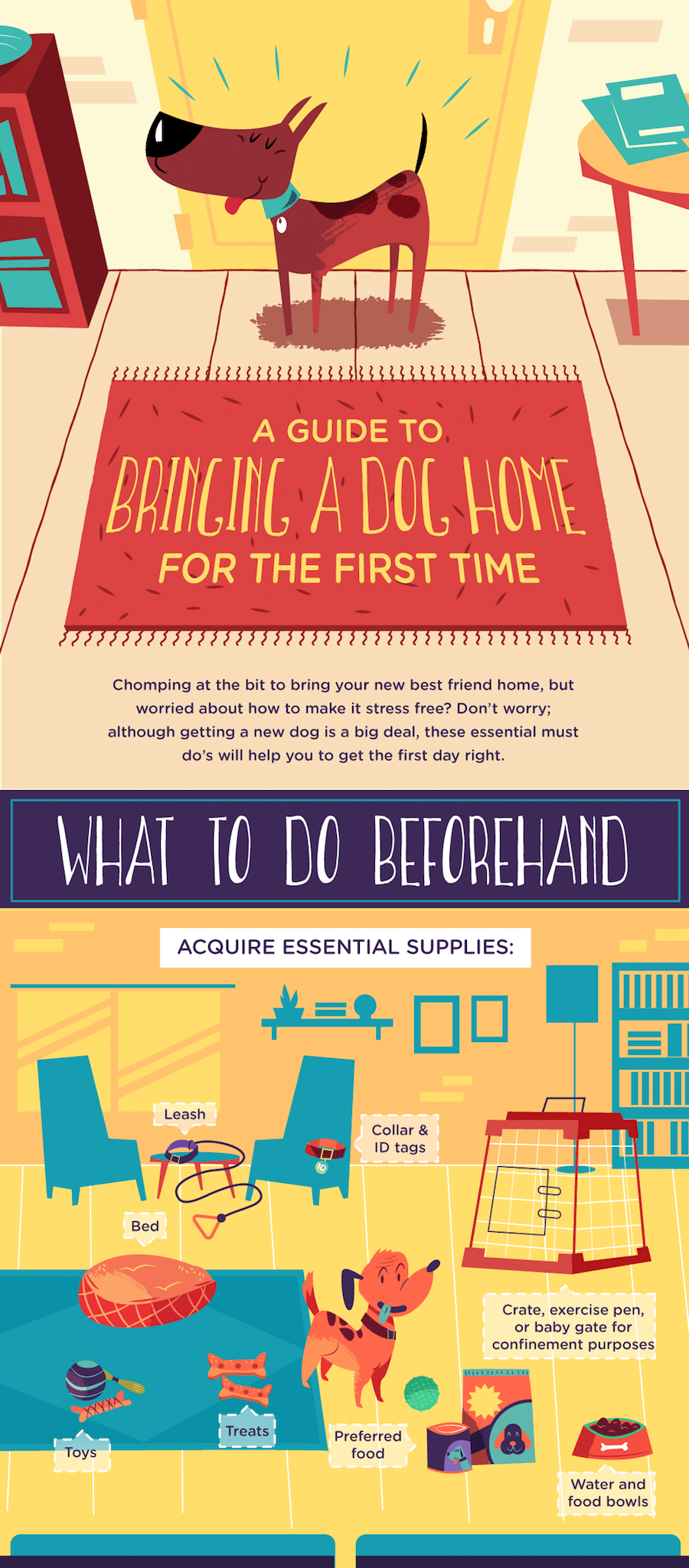Dog Infographic How to Prepare to bring dog home