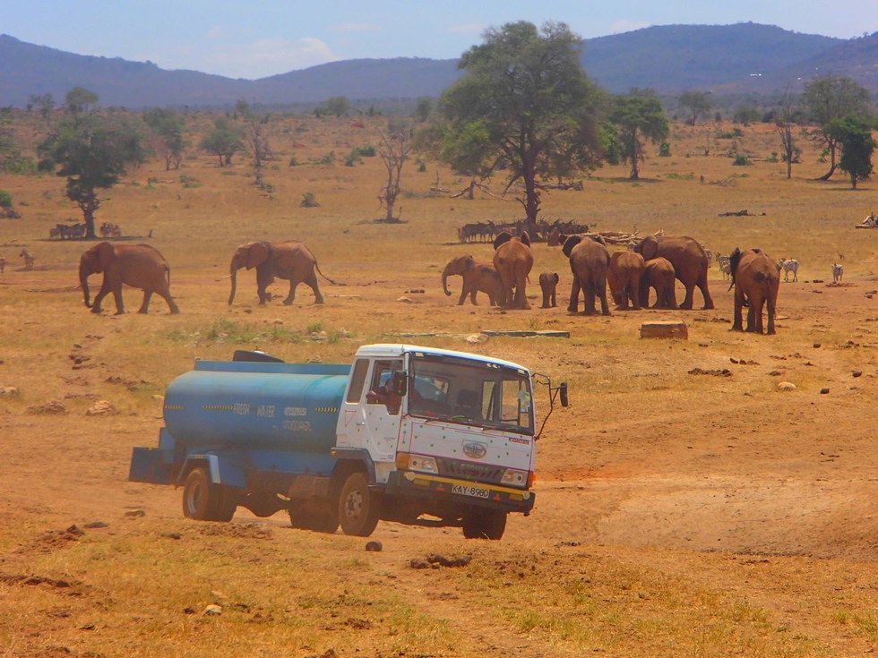 Patrick Kilonzo Mwalua water trucks for animals 