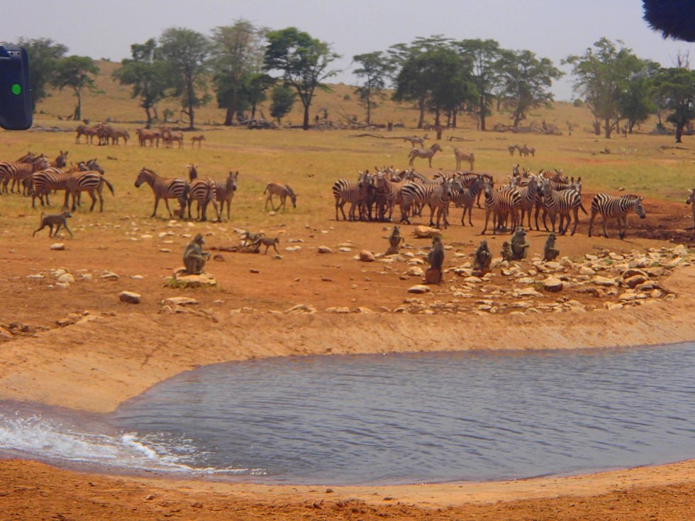 Patrick Kilonzo Mwalua Kenya drought wildlife