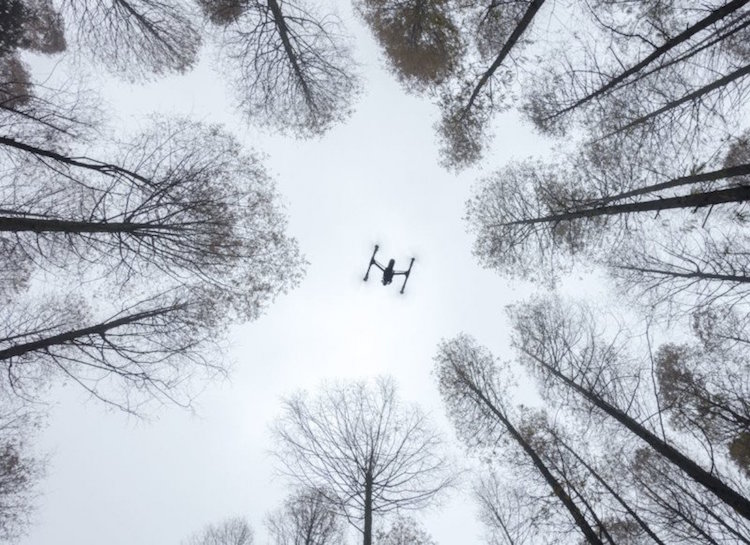 Skypixel 2016 photo contest winner dji drone photography