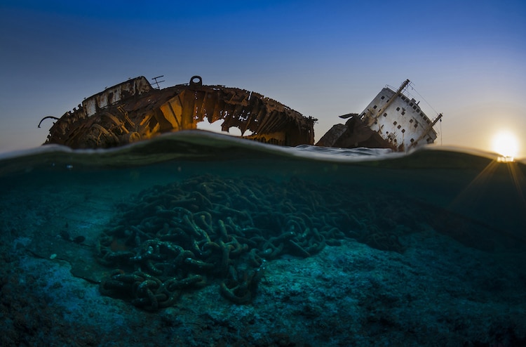 underwater photography competition