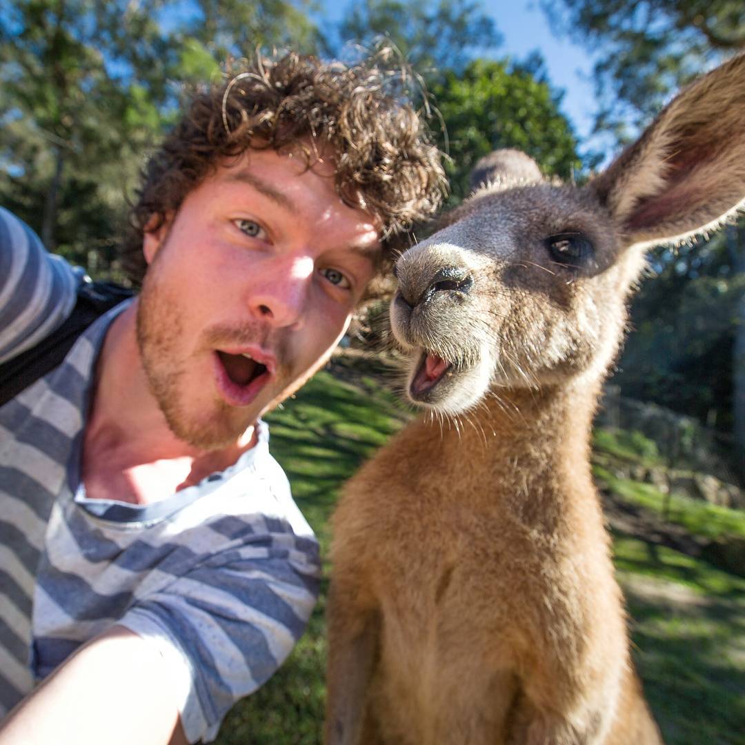 Allan Dixon, the "Animal Whisperer" who takes the best selfies