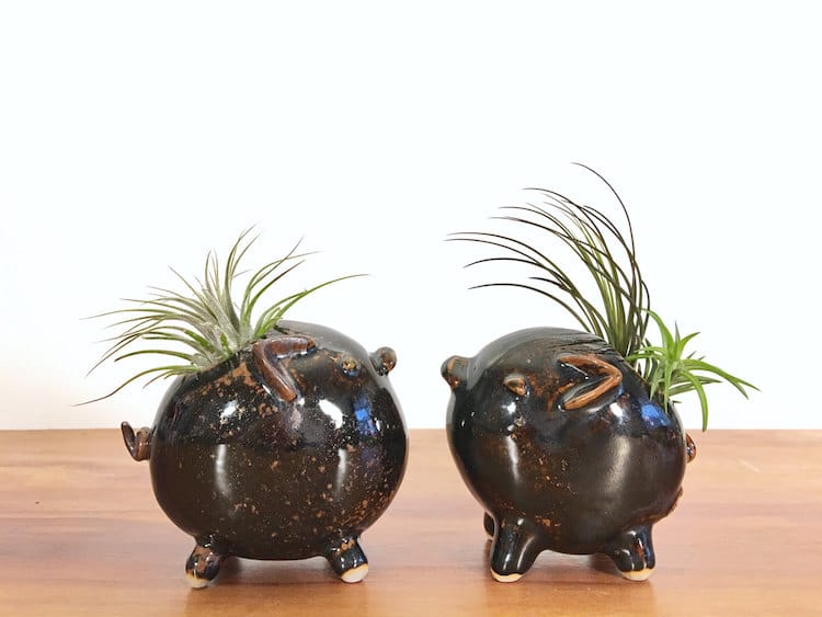 pig animal air plant vases Yoshiko Kozawa studio giverny etsy plants