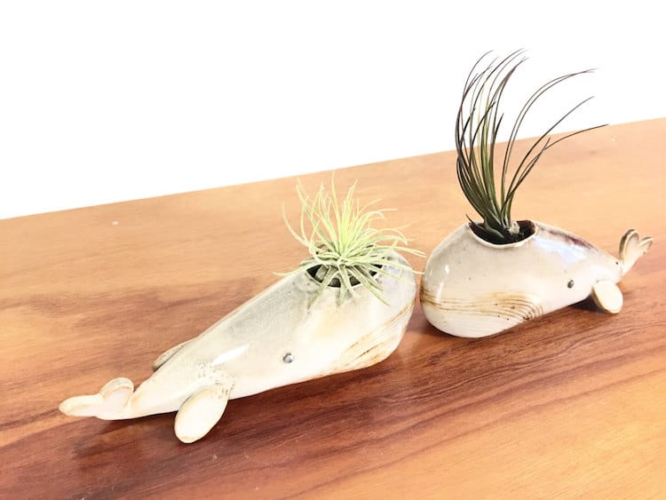 whale animal air plant vases Yoshiko Kozawa studio giverny etsy plants