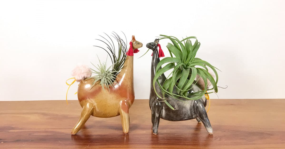 Handmade Animal Vases are the Perfect Way to Display Air Plants and Flowers