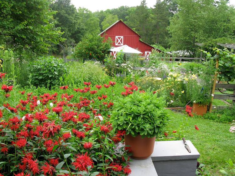 Bluebird Hill Farm is Giving Away Their Land for a 200-Word Essay