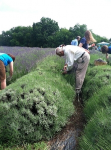 Essays for you picture