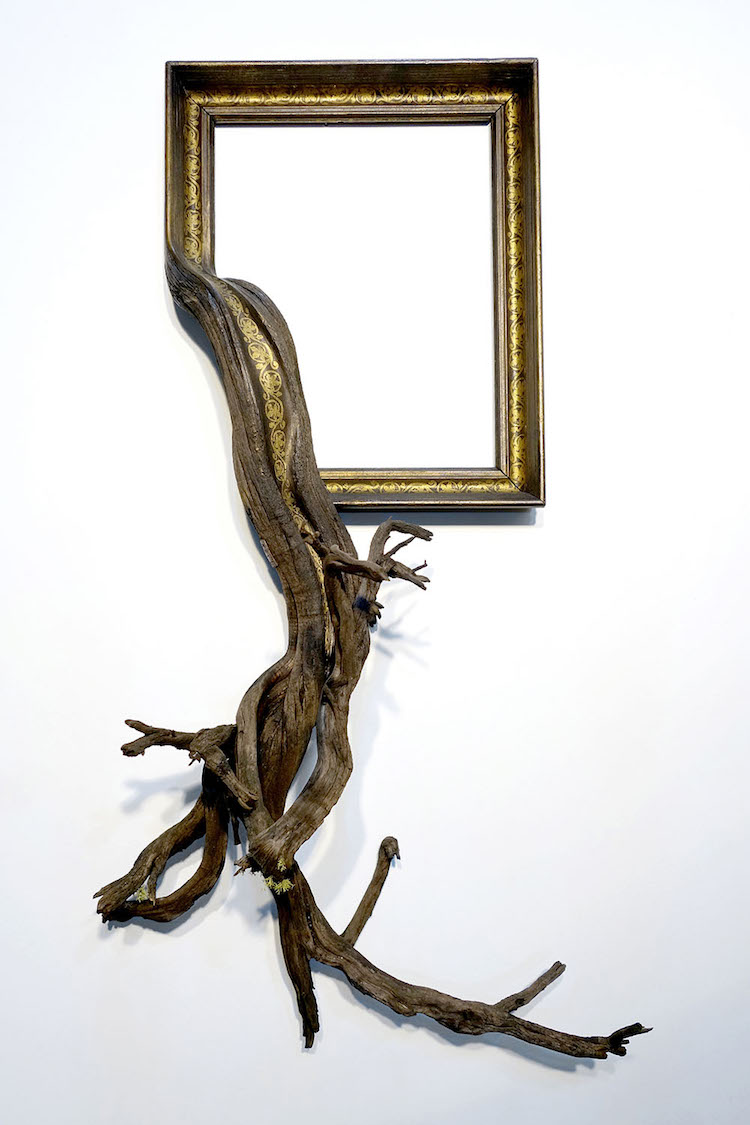 Discarded Frames and Gnarled Tree Branches Form Stunning Fusion Frames 