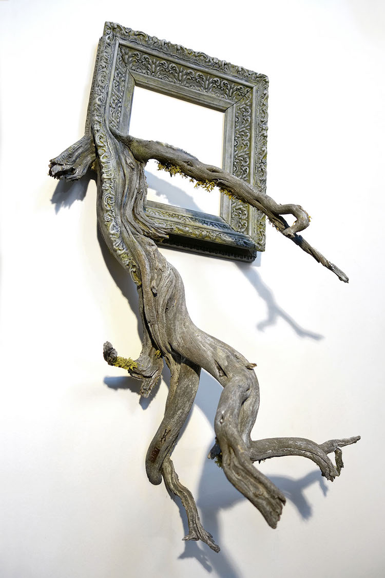 Discarded Frames and Gnarled Tree Branches Form Stunning Fusion Frames 