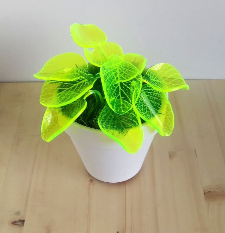 led plant lamp