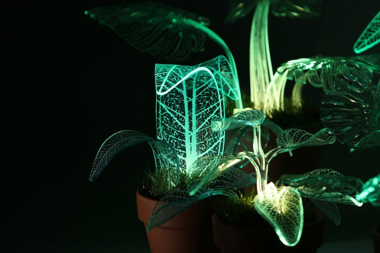 Elegant LED Plant Lamps Modeled After Leafy Green Flora