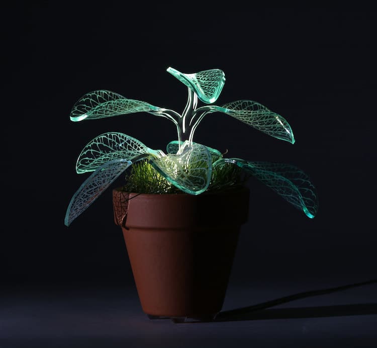 led plant lamps