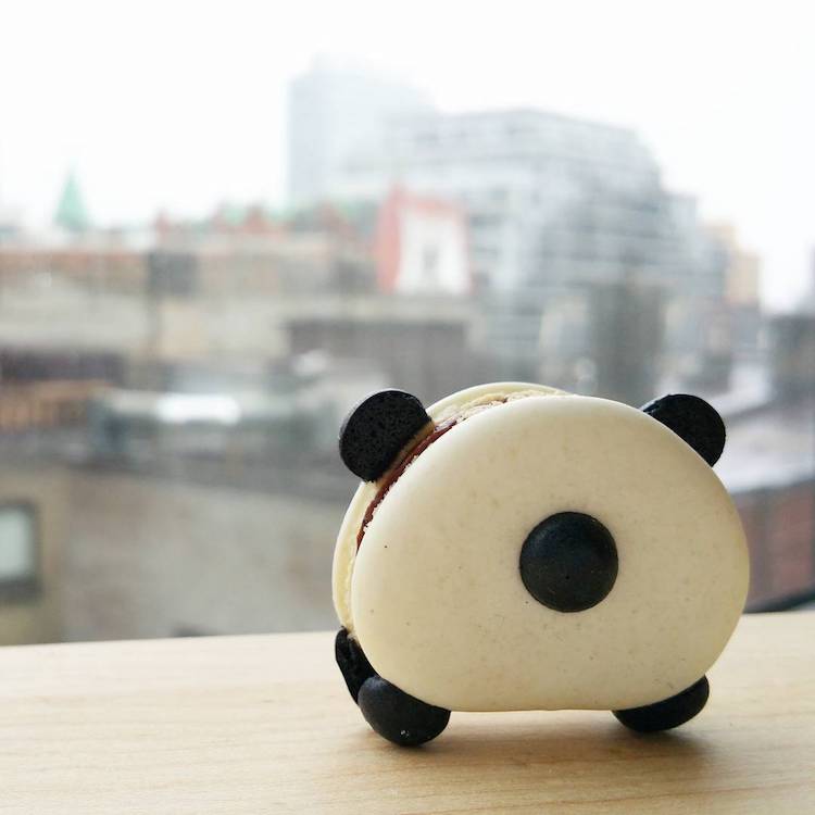 Adorable Animal Macarons are Almost Too Cute to Eat