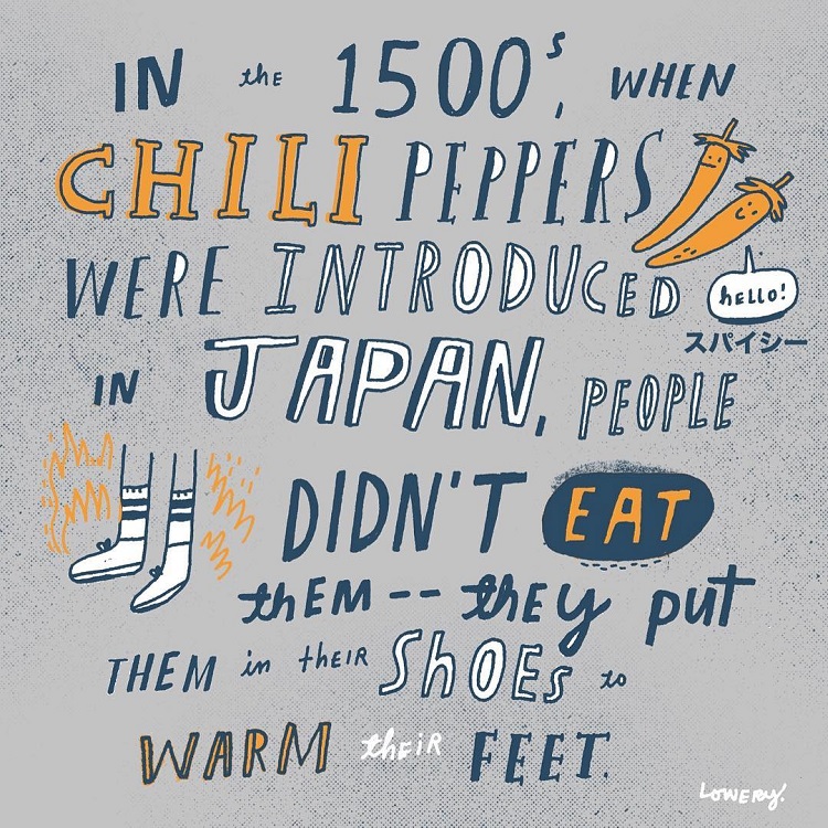 Fascinating Illustrated Facts Reveal the Quirkier Side of Life