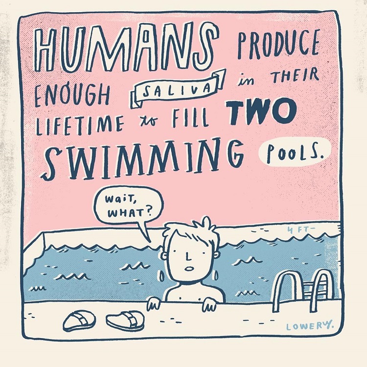Fascinating Illustrated Facts Reveal the Quirkier Side of Life