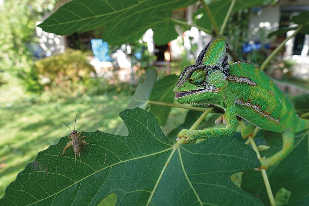 national geographic kids contest winners photography