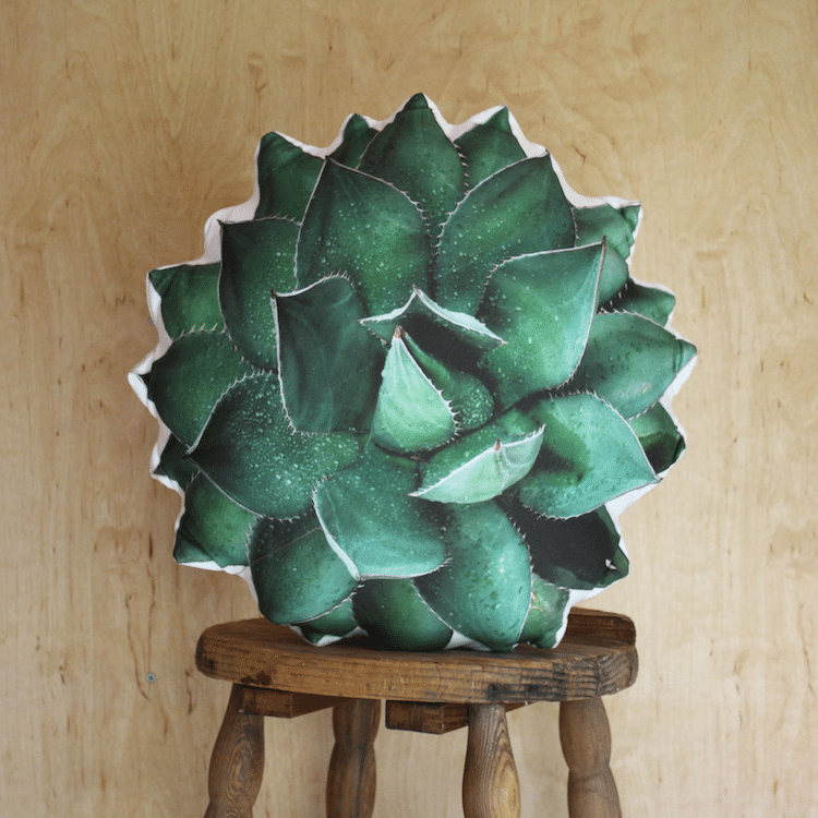 Plant Pillows by Plantillo Bring the Beauty of Nature into Your Home